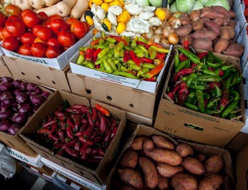 Blitz delle forze dell’ordine al Mercato Esquilino di Roma