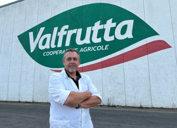 savioli