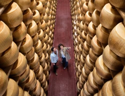 L’export di Parmigiano Reggiano ha superato le vendite in Italia. Ad Anuga il Consorzio lancia a livello internazionale la sua Accademia