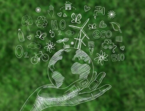 Imballaggi compostabili: Assobioplastiche appoggia la proposta Mase di introdurre un riconoscimento chiaro nel Ppwr