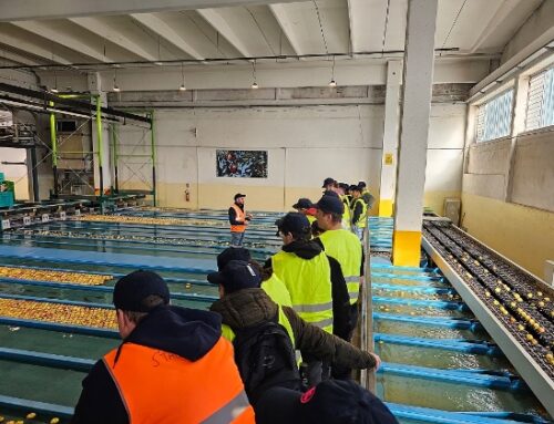 Pink Lady Day: per la settima edizione dell’evento i produttori aprono le porte delle loro aziende