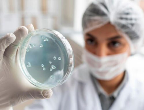 Usa / 10 milioni di americani ogni anno si ammalano a causa del cibo contaminato, secondo un report Cdc