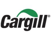 Usa, prezzo del tacchino gonfiato artificialmente? Cargill paga 32,5 milioni di dollari per risolvere la class action