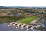 vigneto aeroporto di Firenze