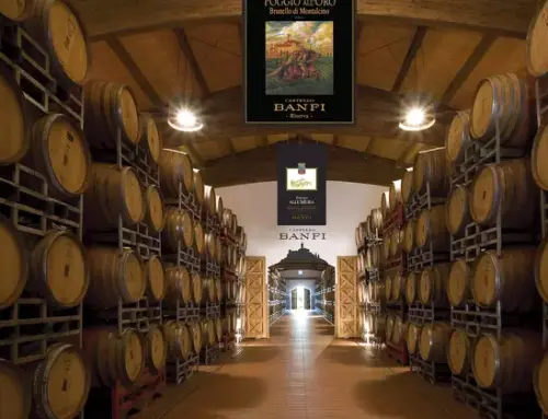 Banfi pubblica il Bilancio di Sostenibilità 2024