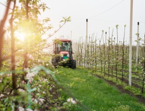 Fertilizzanti, l’Italia chiede all’Agrifish di sbloccare l’uso del digestato