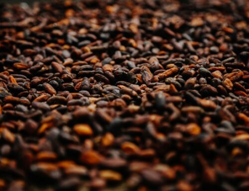 Cacao: produzione in crisi e quotazioni alle stelle