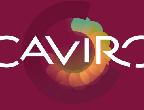 È online il nuovo sito di Caviro, che valorizza le due anime del Gruppo