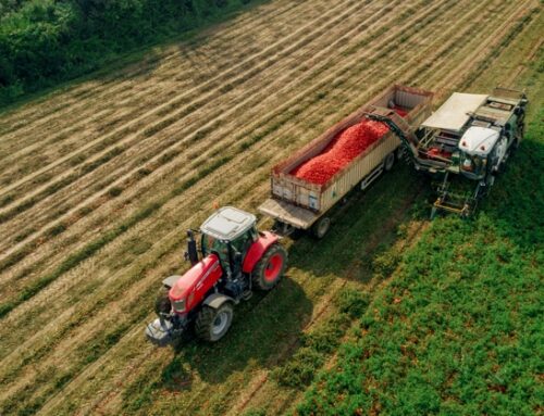 Casalasco Socio Day 2025: innovazione, sostenibilità e crescita al centro dell’evento dedicato alla filiera del pomodoro