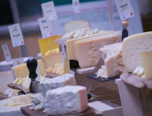 Cresce l’export di formaggi italiani in Giappone: +14% nel 2024. Il 40% è Dop