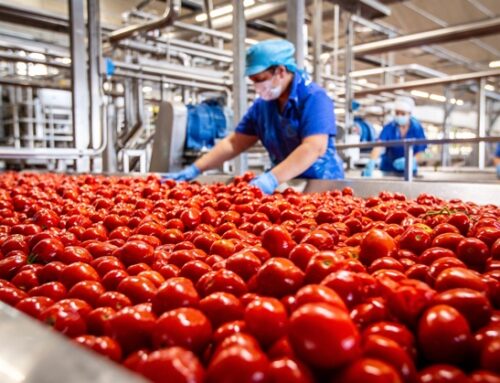 Conserve Italia: finanziamento da Bcc Iccrea e Cdp per oltre 30 milioni di euro