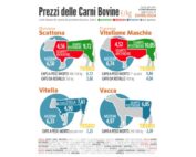 Quotazioni delle carni bovine