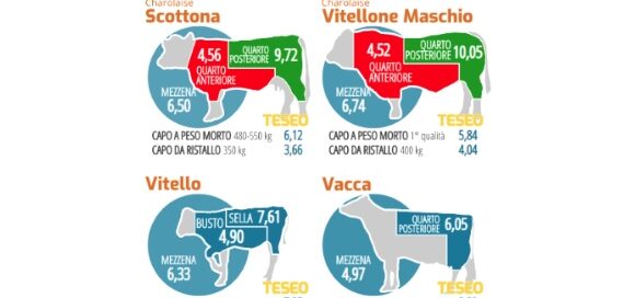 Quotazioni delle carni bovine