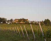 Villa Bucci ora di proprietà del Gruppo Oniverse