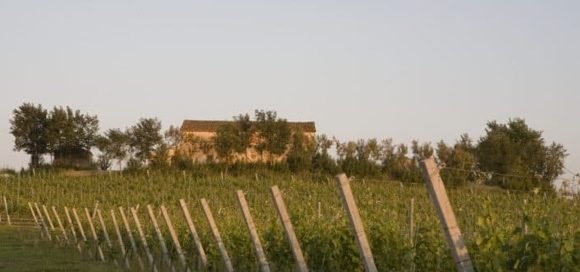 Villa Bucci ora di proprietà del Gruppo Oniverse