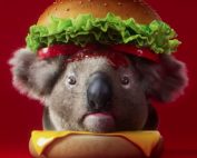 Koala burger