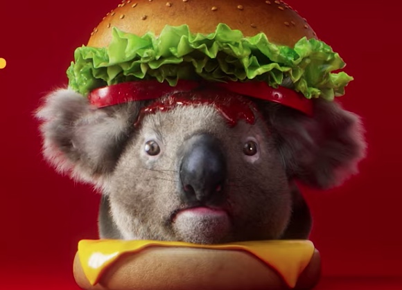 Koala burger