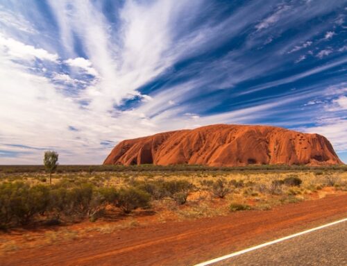Australia / Coles condannata per gli sconti ingannevoli
