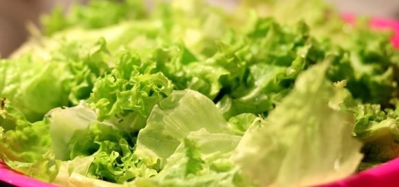 Bonduelle annuncia la cessione del ramo insalate confezionate in Francia e Germania