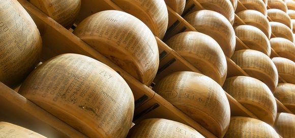 DalterFood Group: bilancio 2023 positivo