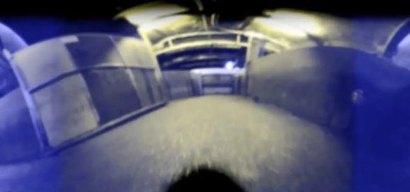 Occhiali che simulano la vista dei maiali