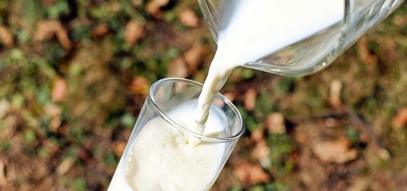 Mercato plant-based: in Italia +16% in due anni