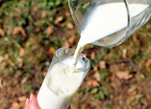 Mercato plant-based: in Italia +16% in due anni