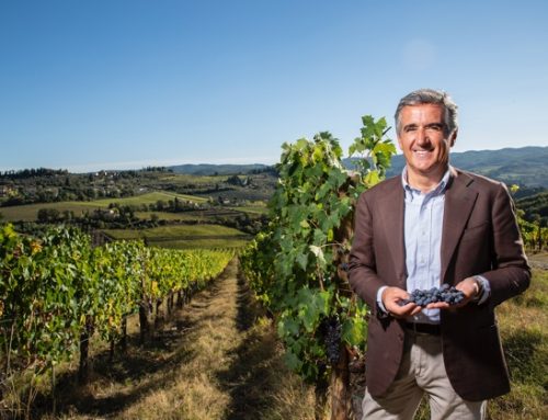 Successo per Chianti Classico Collection 2026. Gallo Nero controcorrente: cresce nel mercato nordamericano