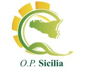 Zootecnia bovina da carne: nasce la prima organizzazione produttori riconosciuta in Sicilia