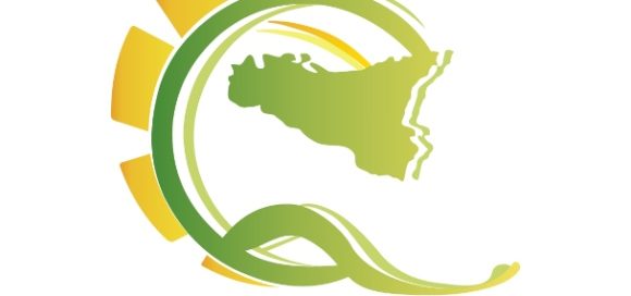 Zootecnia bovina da carne: nasce la prima organizzazione produttori riconosciuta in Sicilia