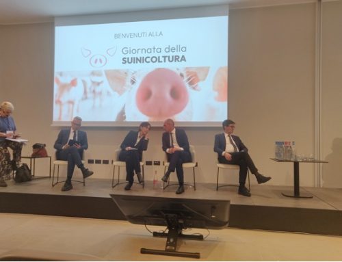 In scena il 15 ottobre a Modena la Giornata della Suinicoltura