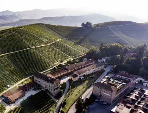 Vendemmia 2025, Fontanafredda: “L’uva si presenta bella e sana in tutte le varietà”