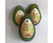 Brio presenta l’avocado bio italiano Alce Nero