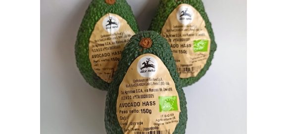 Brio presenta l’avocado bio italiano Alce Nero