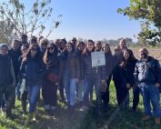 Al via a Bologna la seconda edizione di ‘Bosco Diffuso Despar’