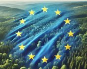 Eudr: gli emendamenti introdotti nel Regolamento europeo sulla deforestazione