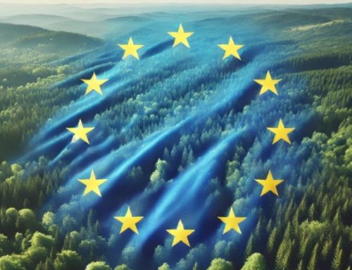 Regolamento deforestazione (Eudr): la commissione europea propone un rinvio di 12 mesi