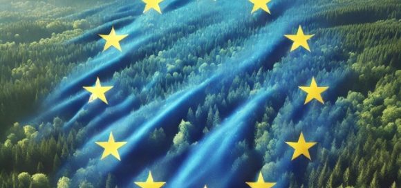 Eudr: gli emendamenti introdotti nel Regolamento europeo sulla deforestazione