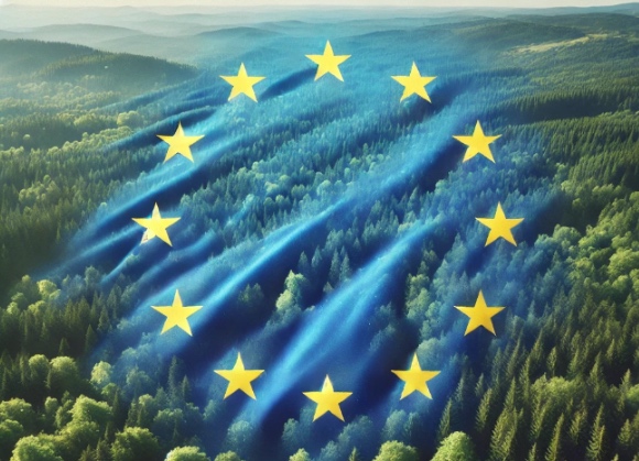 Eudr: gli emendamenti introdotti nel Regolamento europeo sulla deforestazione