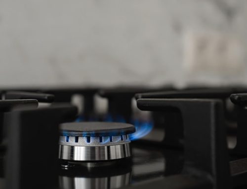 Botulino alimentare: le nuove misure di prevenzione del Minsal per produttori e distribuzione