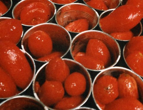 Pomodoro da industria, Serafini (Anicav): “Campagna di trasformazione complessa al Centro Sud. Urge intervento del Masaf”