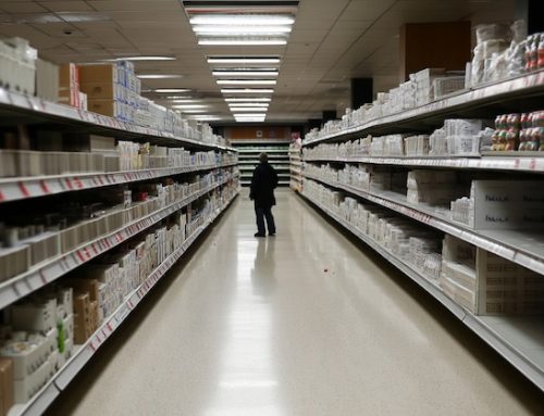 Una domenica bestiale