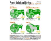 Quotazioni carne bovina (Cciaa di Modena): continua la crescita dei prezzi
