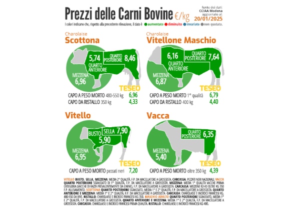 Quotazioni carne bovina (Cciaa di Modena): continua la crescita dei prezzi