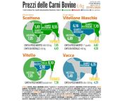 Carne bovina