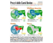 Carne bovina