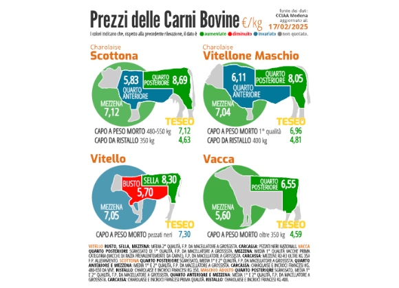 Carne bovina