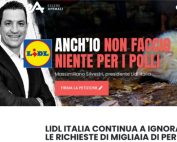 Essere Animali: la campagna #LidlChickenScandal indirizzata a Lidl Italia entra in una nuova fase