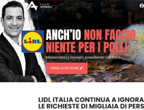 Essere Animali attacca Silvestri (Lidl Italia) / 3. Alimentando blocca la pubblicazione di notizie dell’associazione