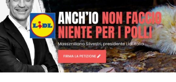 Essere Animali: la campagna #LidlChickenScandal indirizzata a Lidl Italia entra in una nuova fase